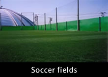 Soccer fields